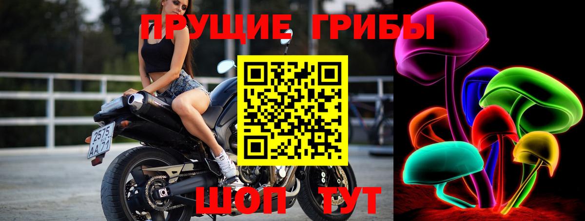 Чернушка  Псилоцибиновые грибы MAGIC MUSHROOMS  цена наркотик  Вход с VPN 