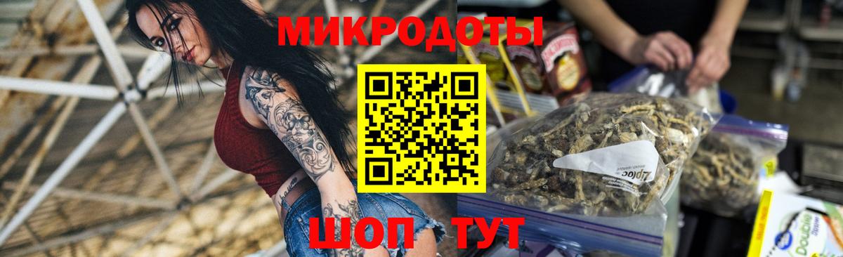 Псилоцибиновые грибы MAGIC MUSHROOMS Чернушка